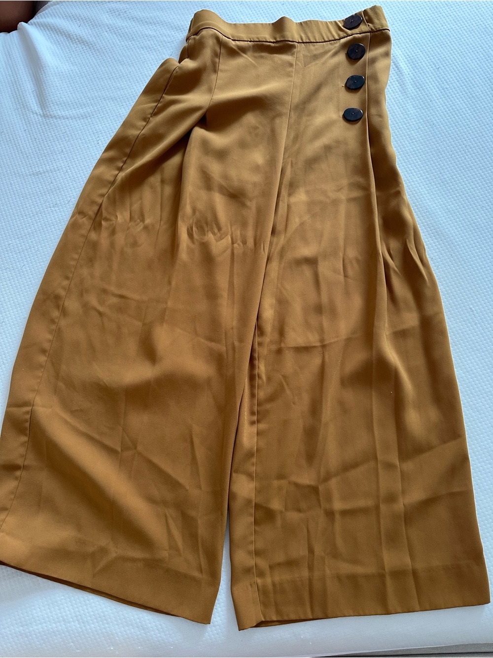 Zara Wide-Leg Ankle Pants